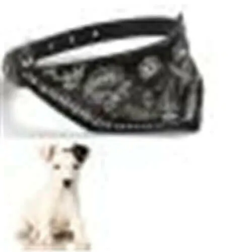 1PC small puppy pet collar with scarf Cut Dog Cat