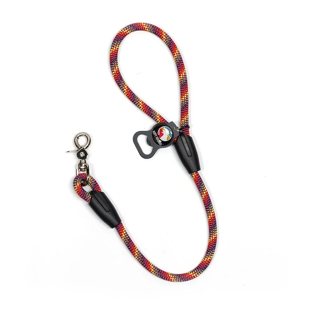 2' Dog Traffic Lead - Multicolor