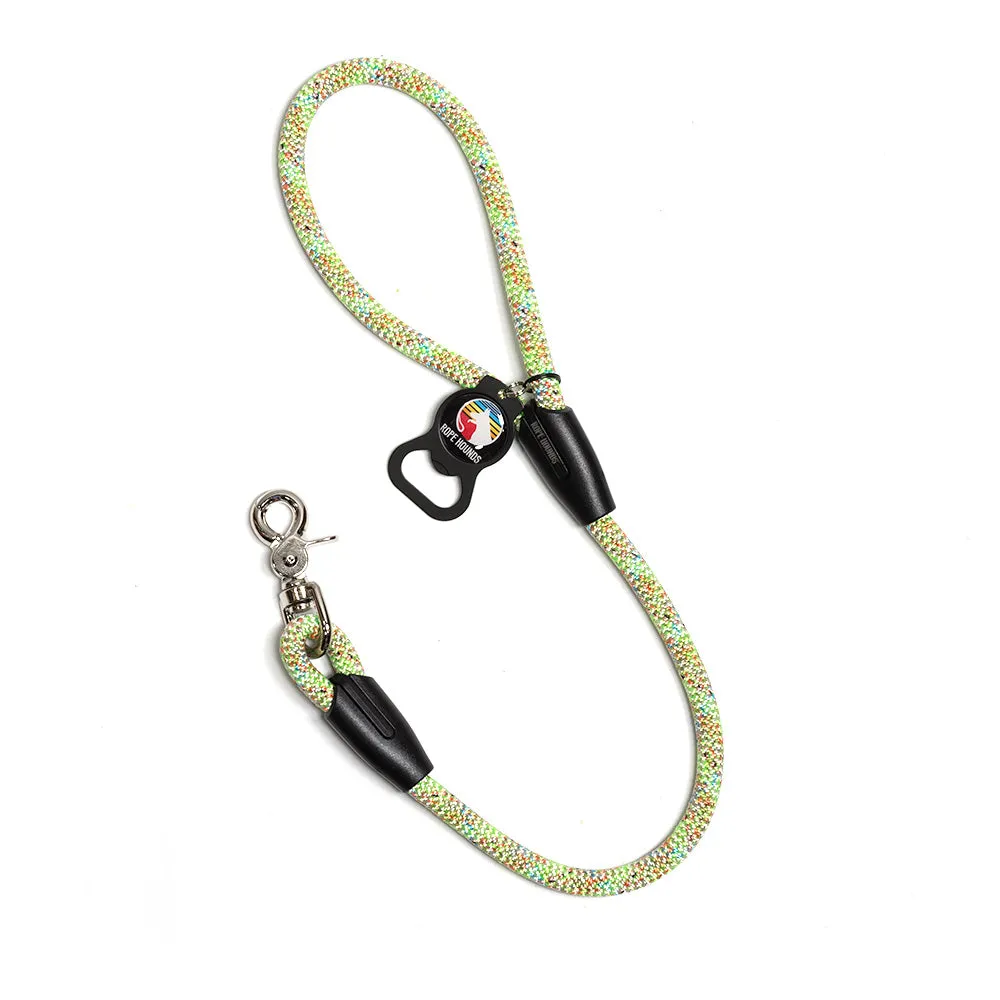 2' Dog Traffic Lead - Multicolor