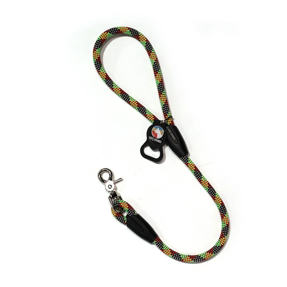 2' Dog Traffic Lead - Multicolor