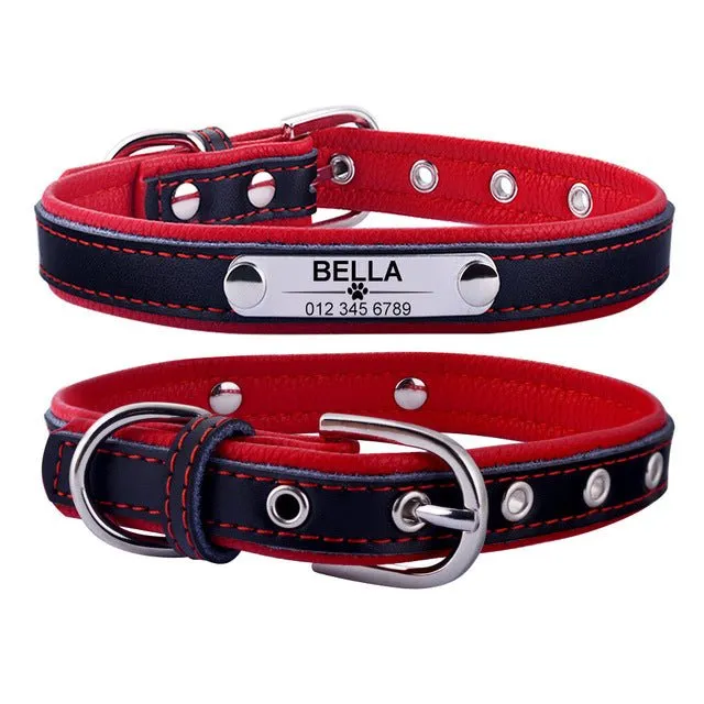 AiruiDog Adjustable Leather Padded Personalized Dog Collars with Engraved Nameplates