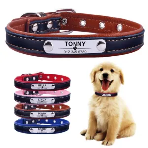 AiruiDog Adjustable Leather Padded Personalized Dog Collars with Engraved Nameplates