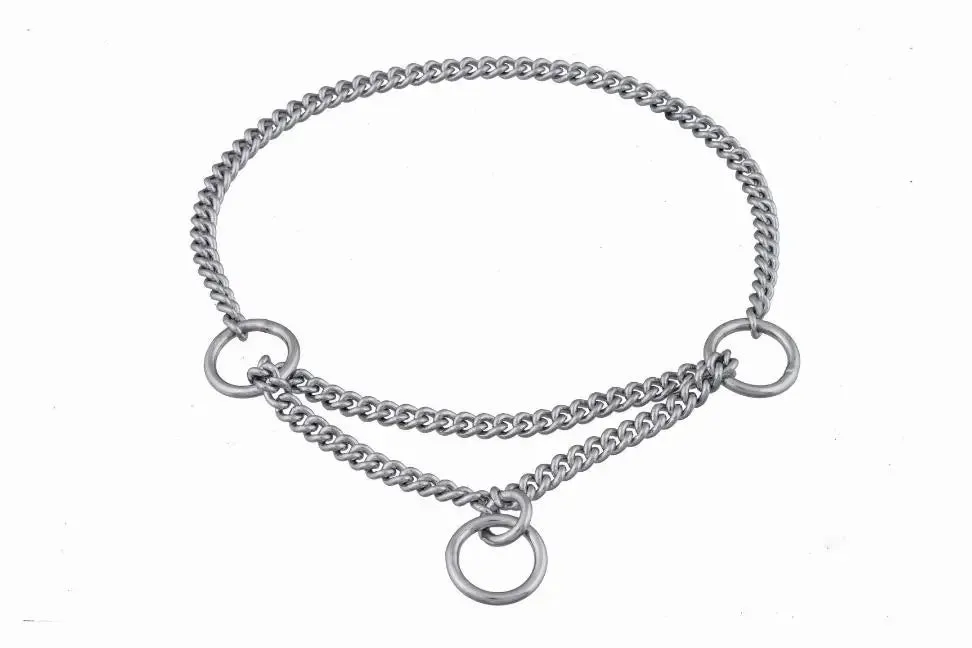 Alvalley Martingale Show Chain Collar