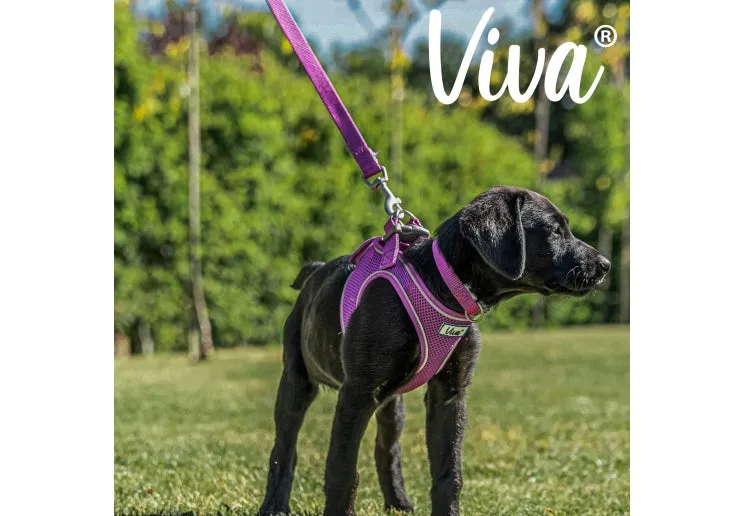 Ancol VIVA Padded Dog Lead