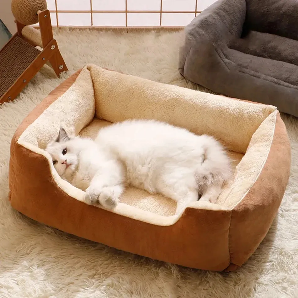 Bed for Cats Pet Products Cushions Kitten Goods Accessories Dog All Houses Supplies Things Accessory Habitats Basket House Beds