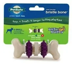 Busy Buddy Bristle Bone