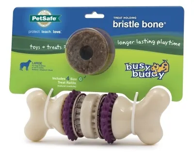 Busy Buddy Bristle Bone