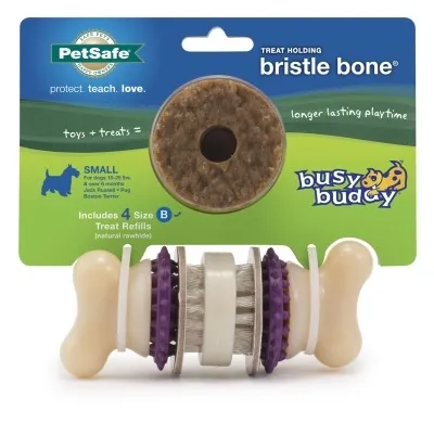 Busy Buddy Bristle Bone