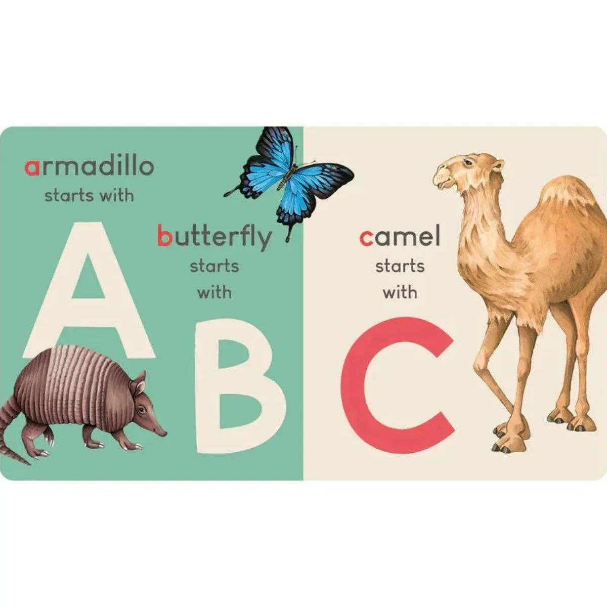 Carry Me Animal Alphabet Book