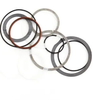 Chris King Iso / Classic Seal & Snap Ring Kits