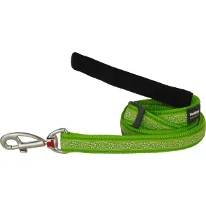 Daisy Chain Lime Green Leash 12mm (1/2" Wide - 4-6' Length)