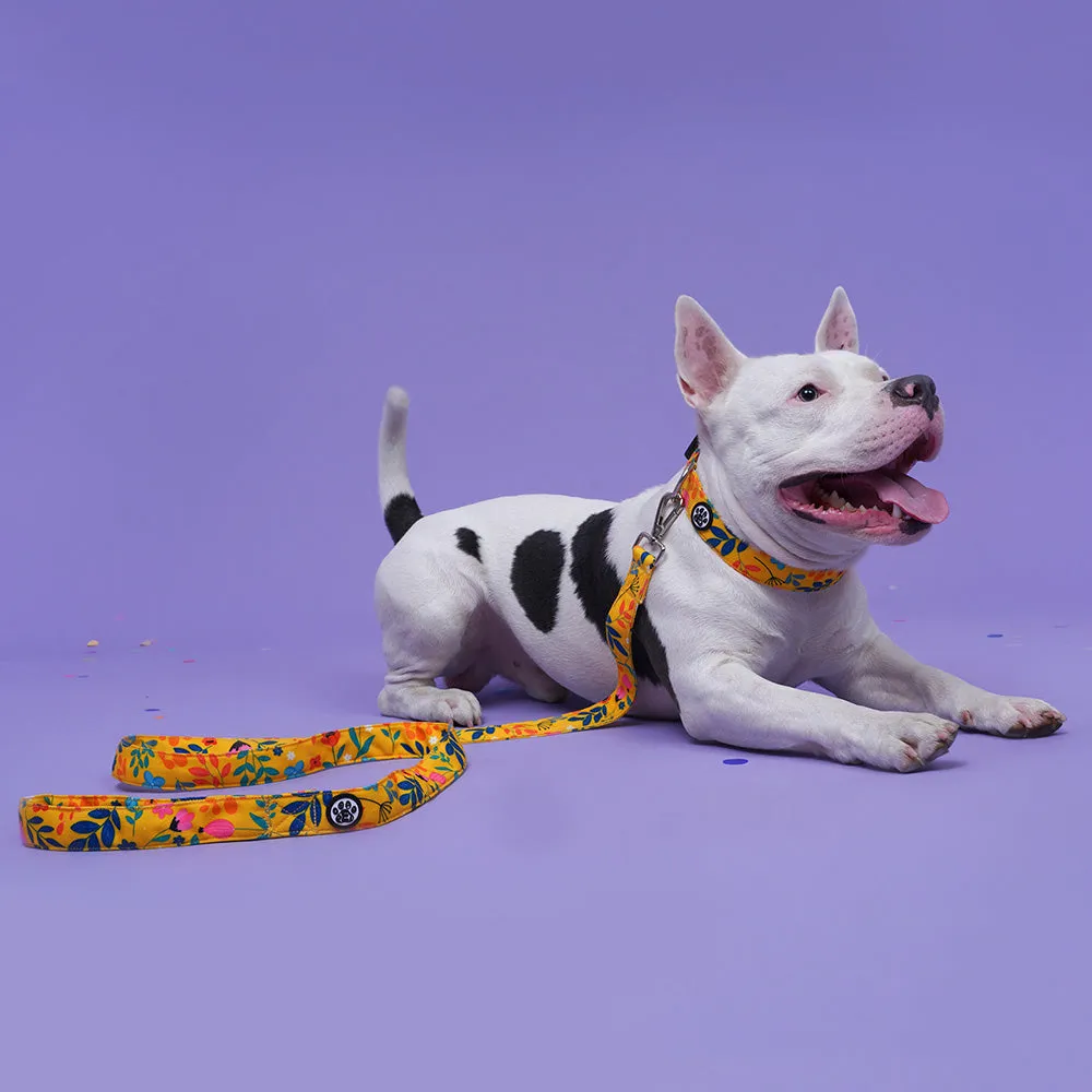 Dear Pet Blooming Yellow Dog Leash