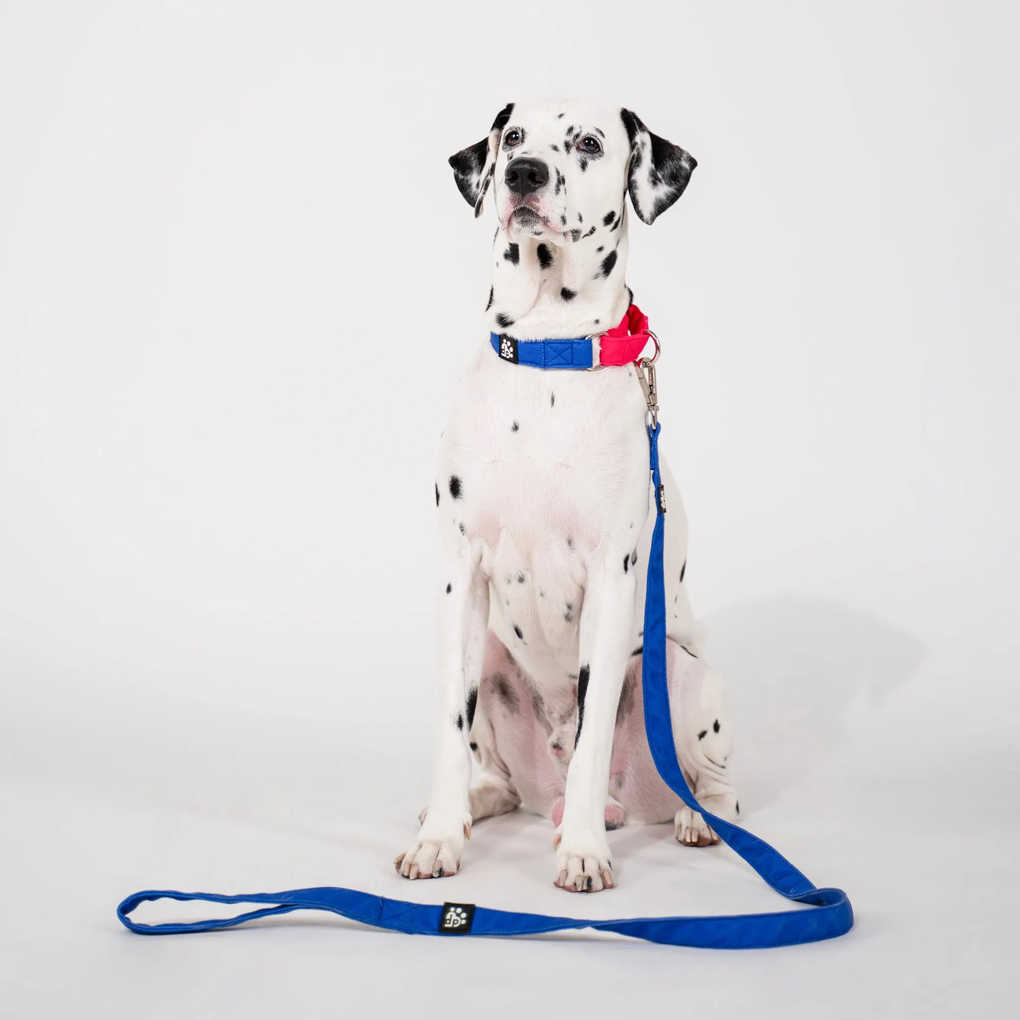 Dear Pet Classic Blue Dog Leash