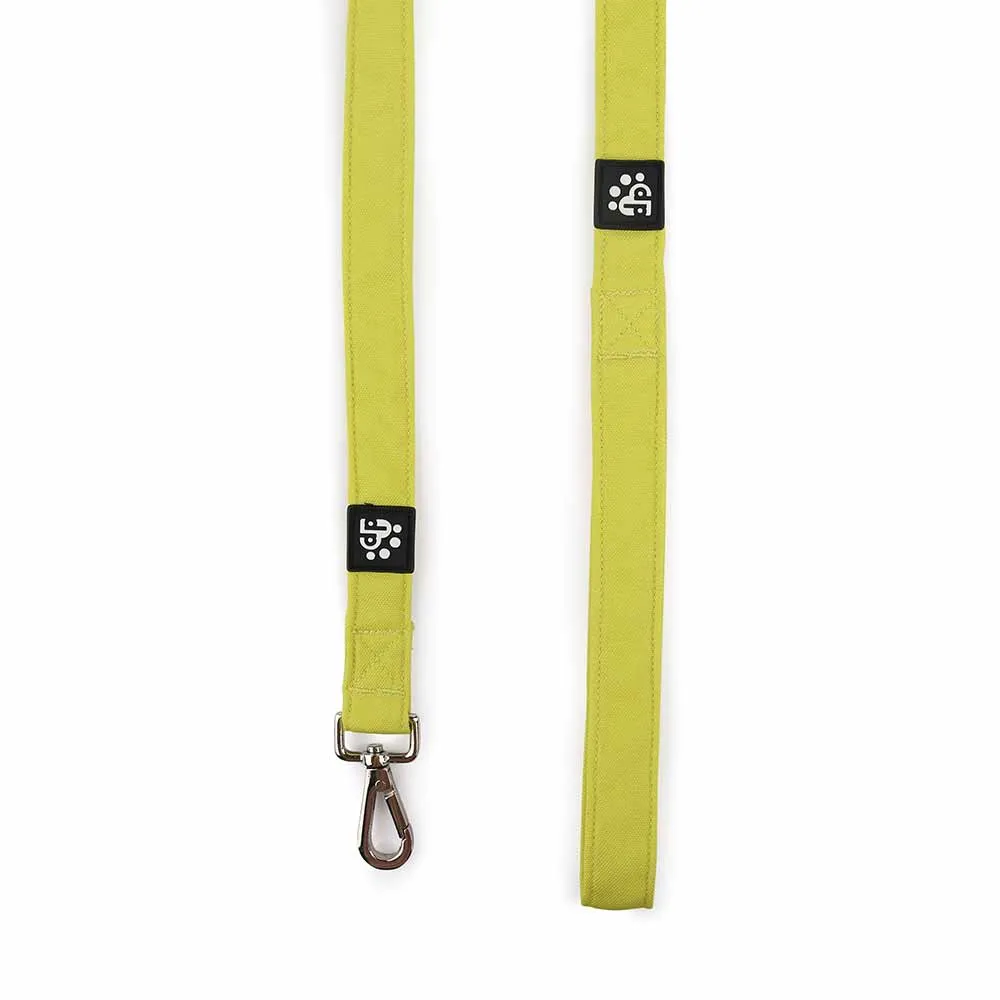 Dear Pet Classic Lime Dog Leash