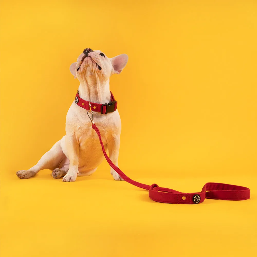 Dear Pet Classic Maroon Dog Leash