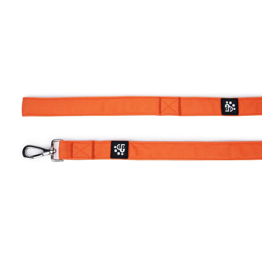 Dear Pet Classic Orange Dog Leash