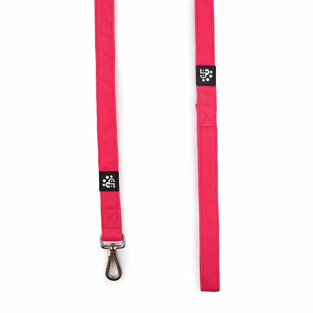 Dear Pet Classic Pink Dog Leash