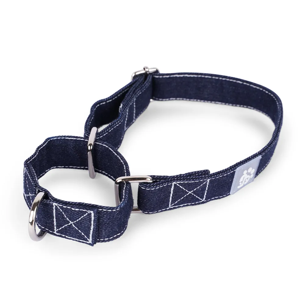 Dear Pet Denim Martingale Dog Collar