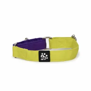 Dear Pet Double Trouble Martingale Lime & Purple Dog Collar