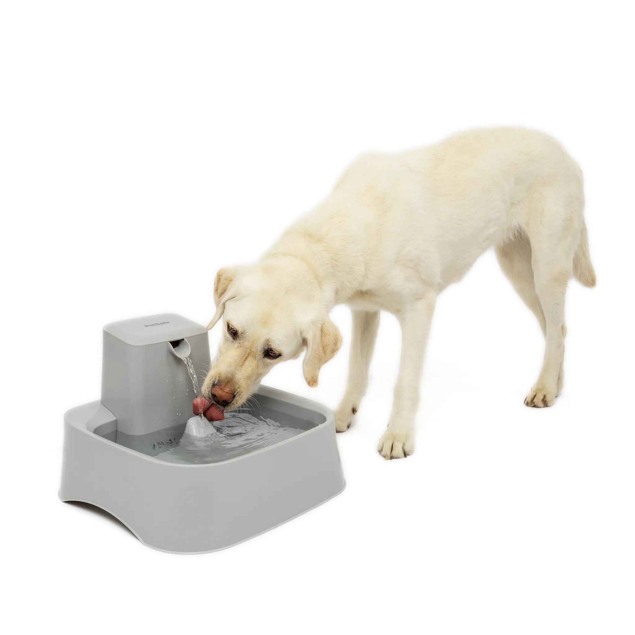 Drinkwell® 7.5 Litre Pet Fountain