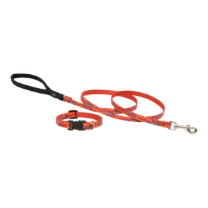 Go Go Gecko Dog Leash