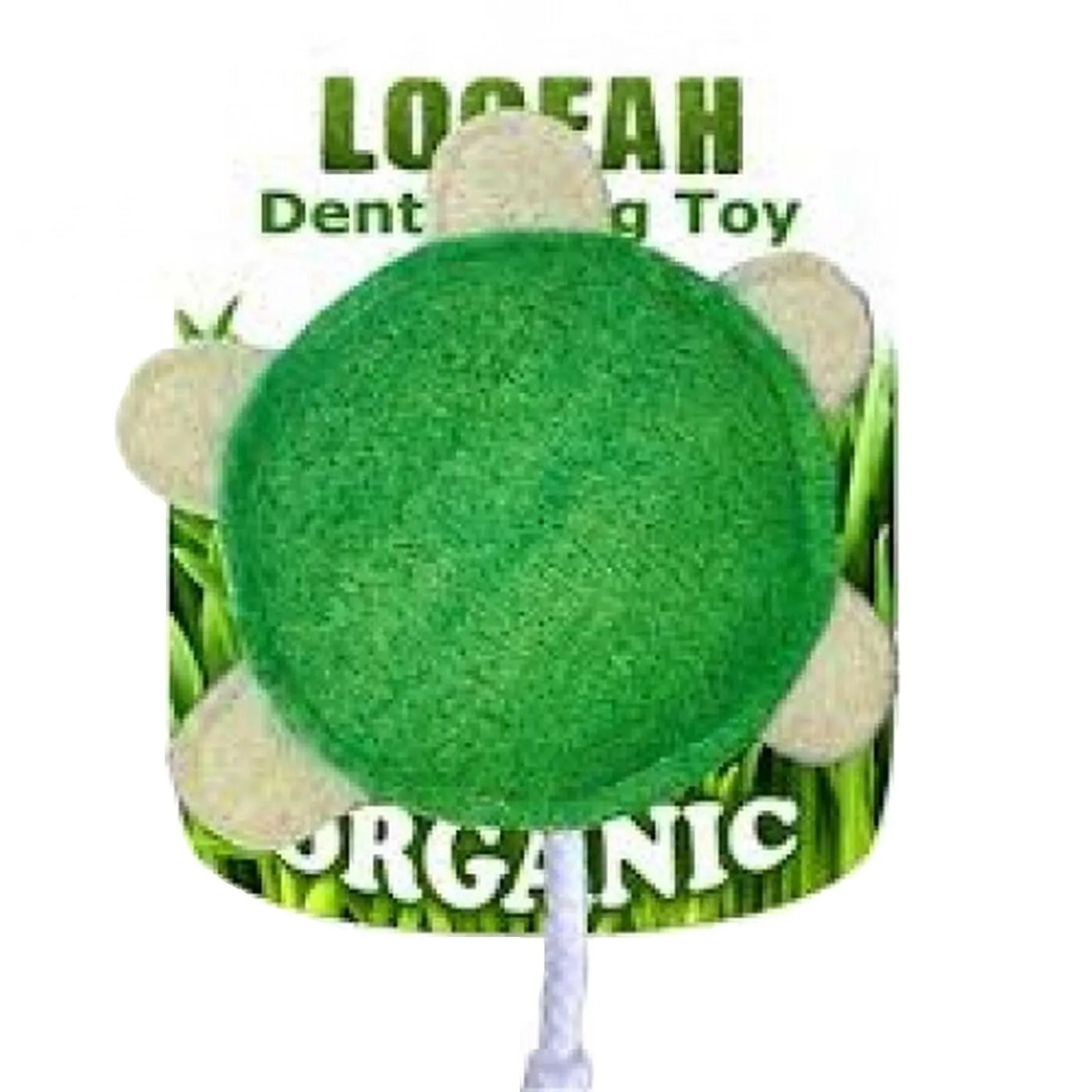 Hip Doggie Loofah Turtle