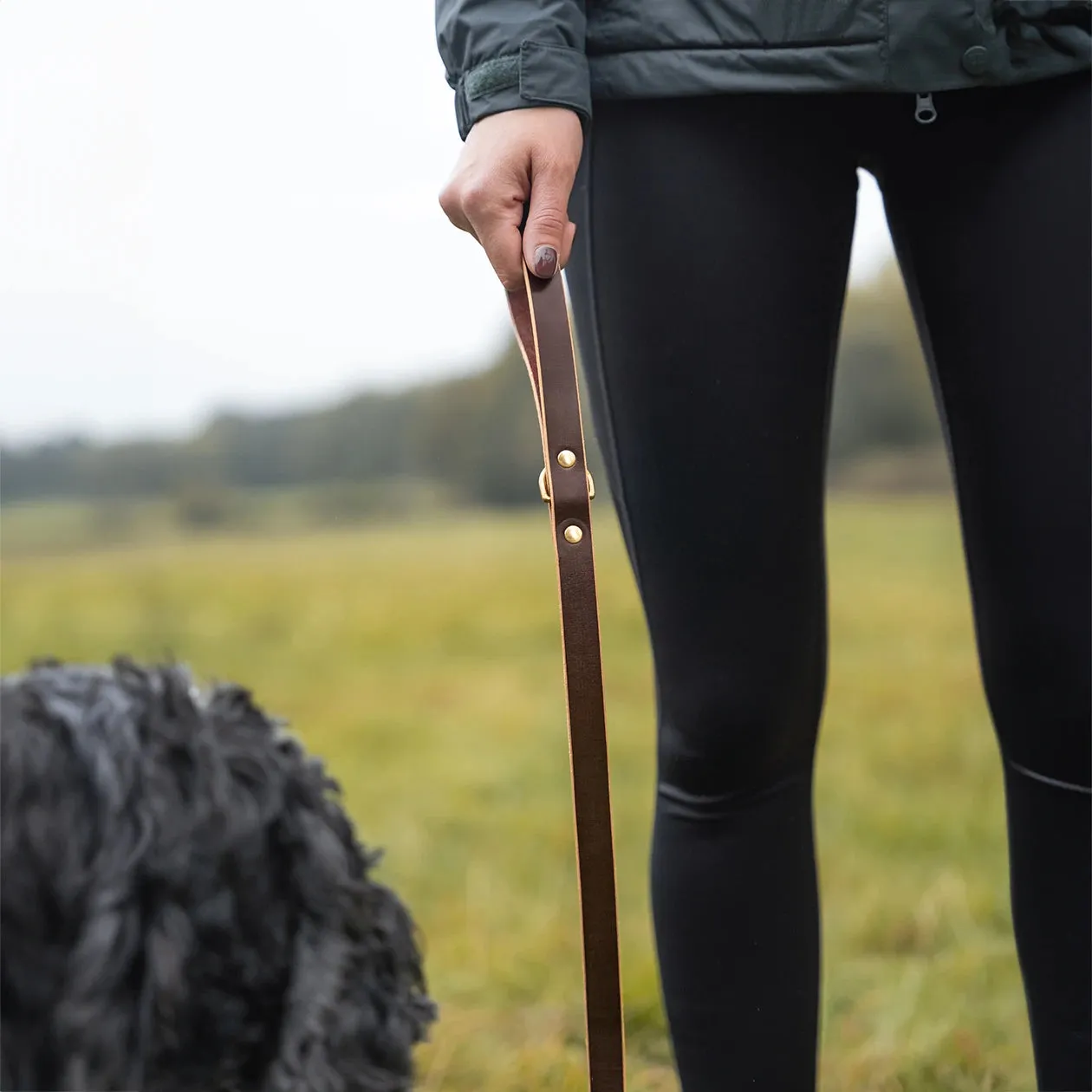 Leather Dog Lead - Conker Brown