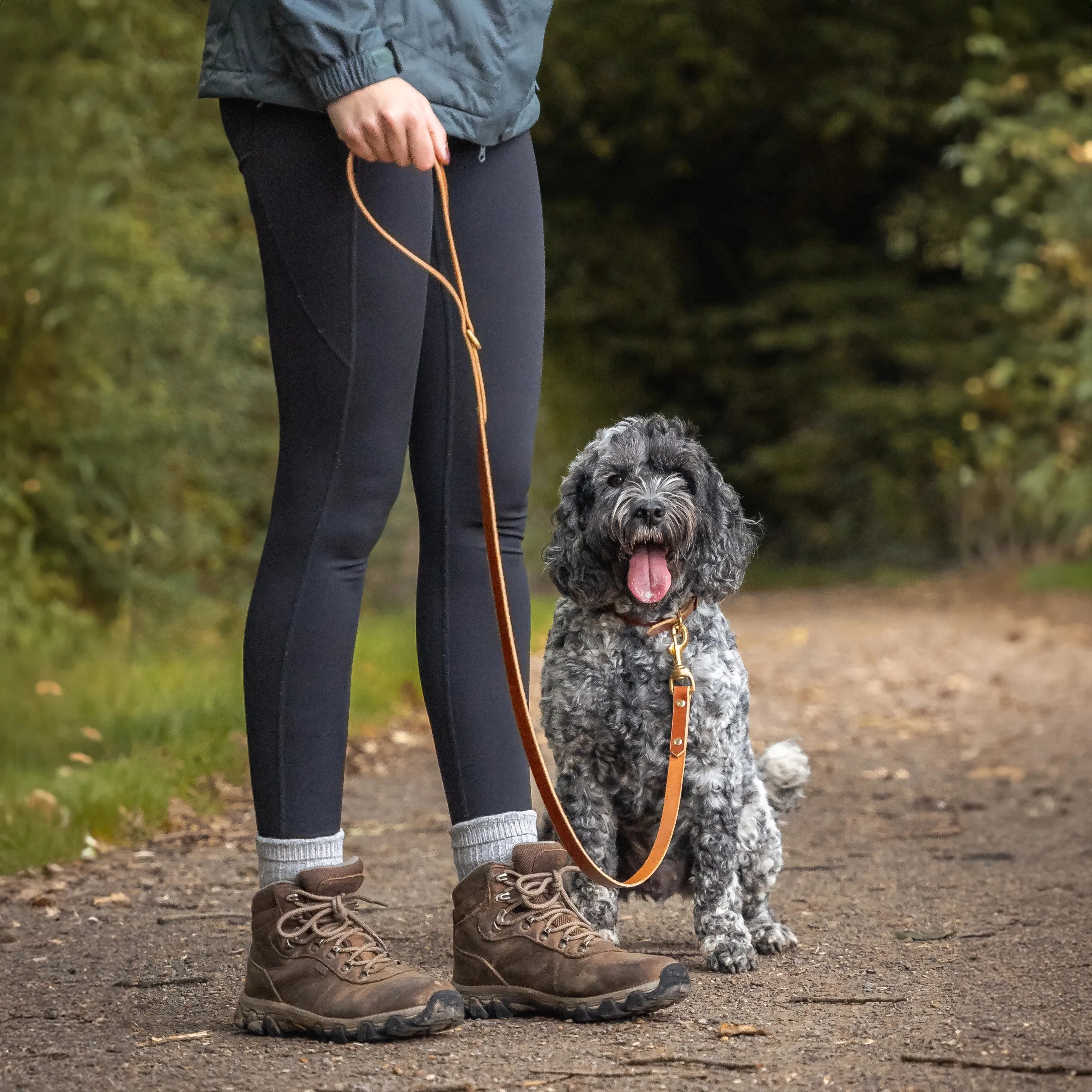 Leather Dog Lead - Havana Tan