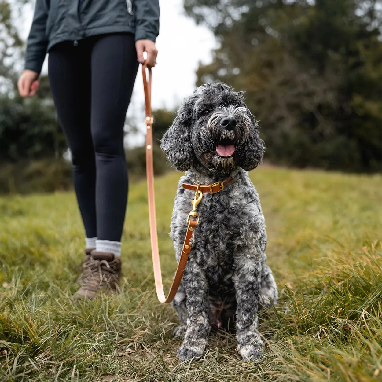 Leather Dog Lead - Havana Tan