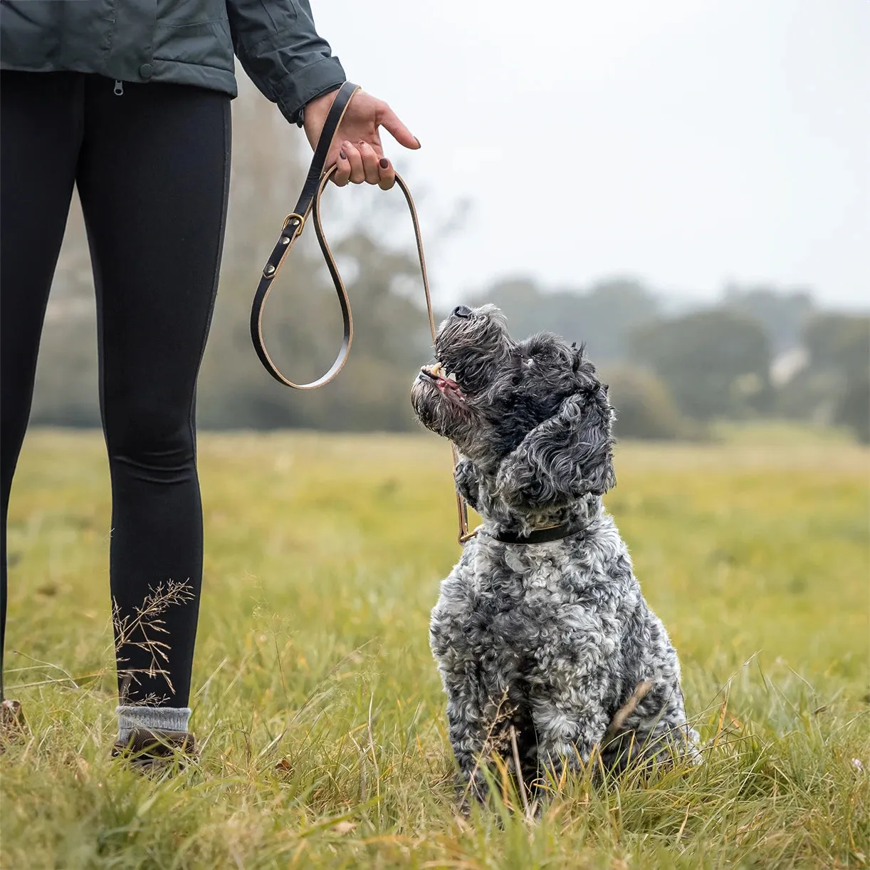 Leather Dog Lead - London Black