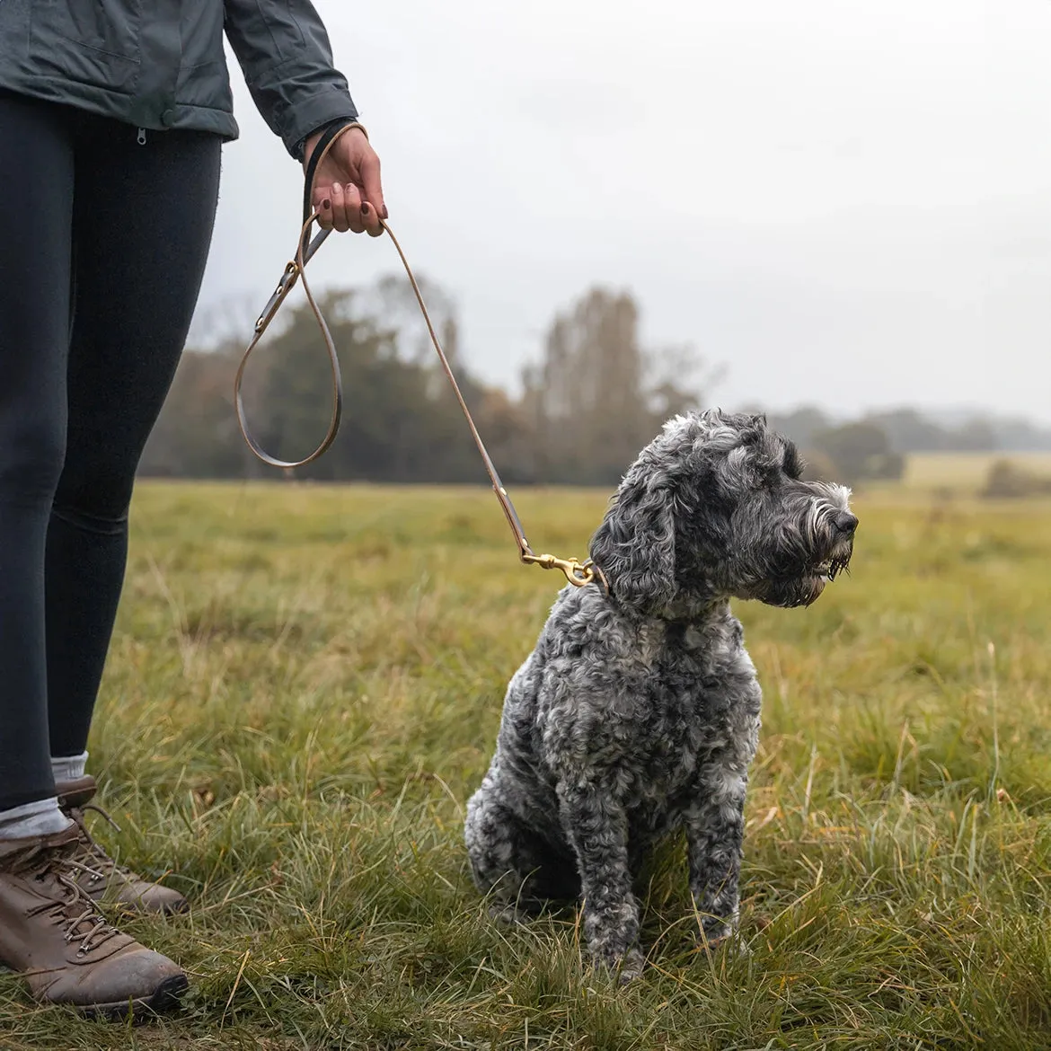 Leather Dog Lead - London Black