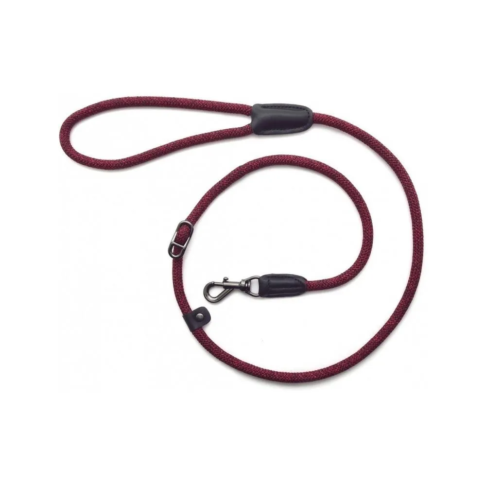 Metro Collar & Slip Leash