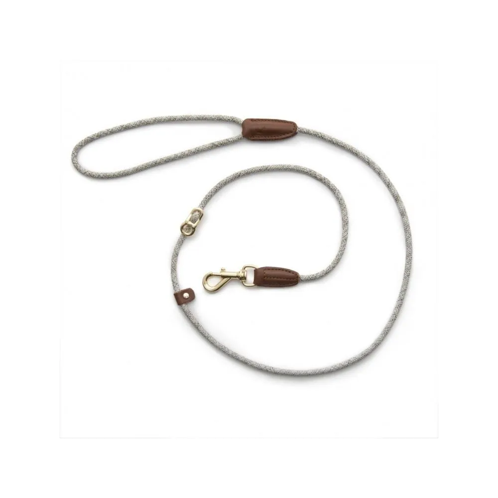 Metro Collar & Slip Leash