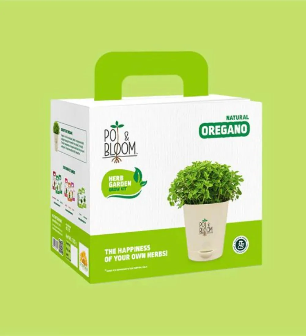 Oregano Grow Kit