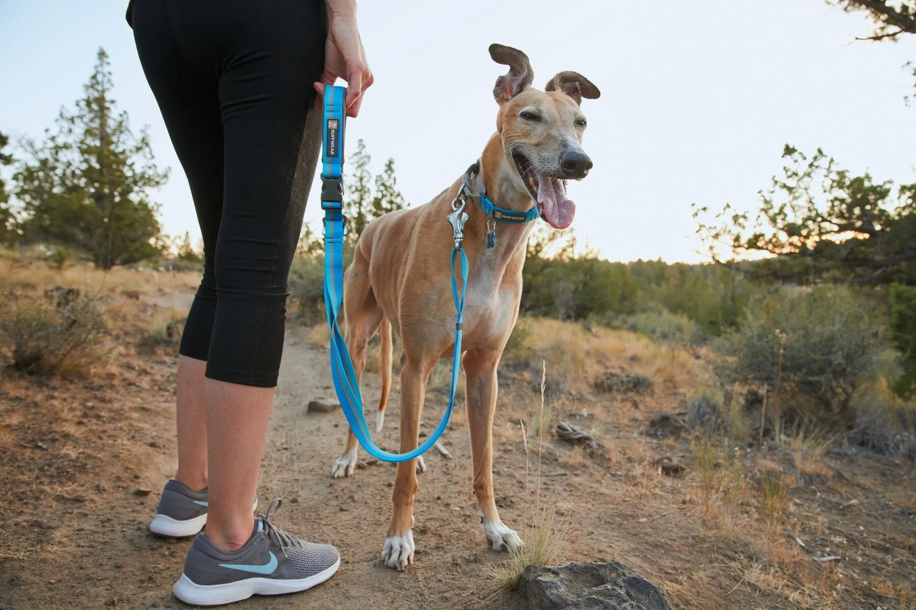 Ruffwear Crag™ Reflective & Multi-Use Dog Leash (Blue Dusk)