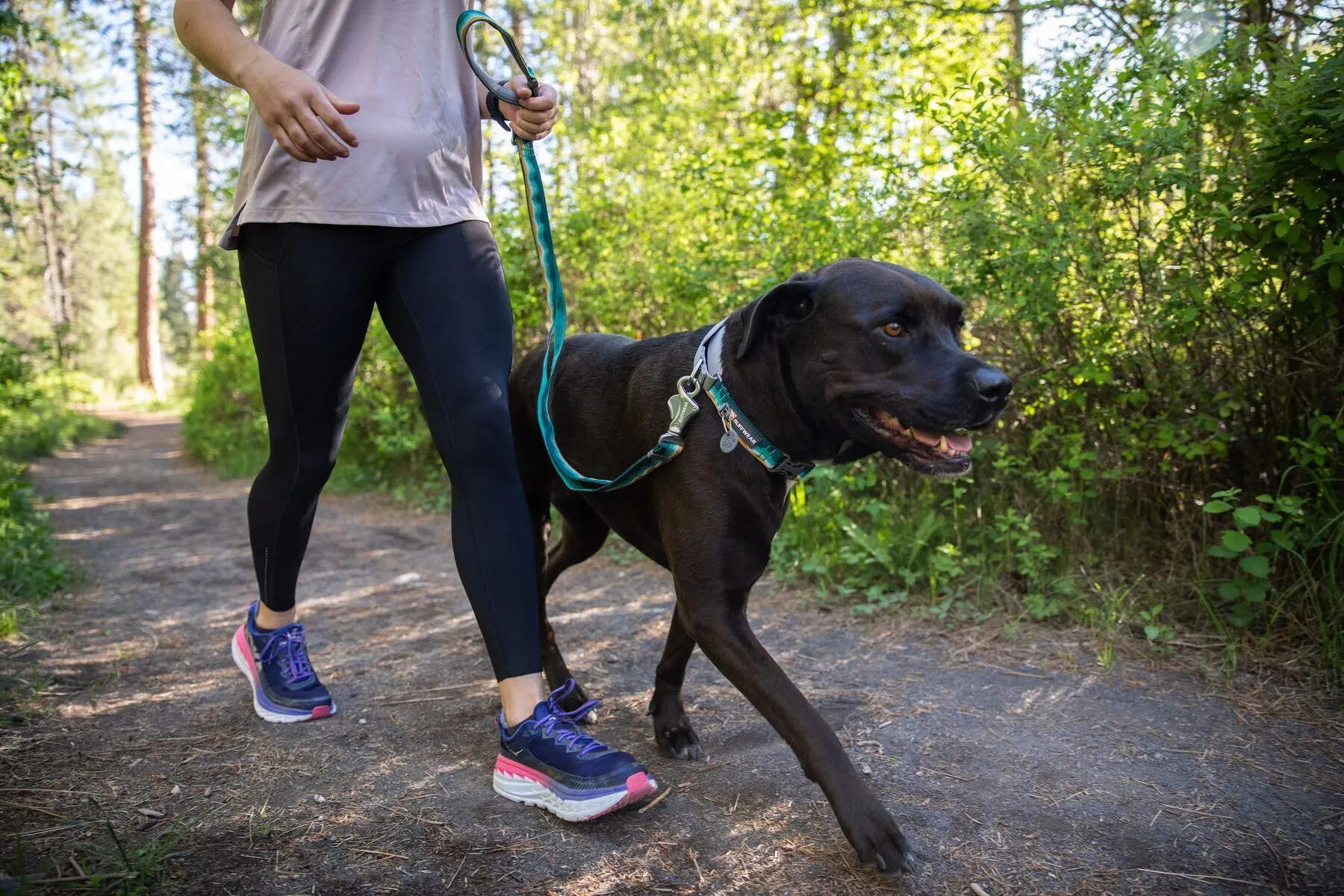 Ruffwear Crag™ Reflective & Multi-Use Dog Leash (Blue Dusk)