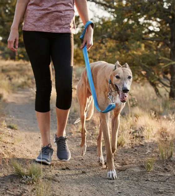 Ruffwear Crag™ Reflective & Multi-Use Dog Leash (Midnight Wave)