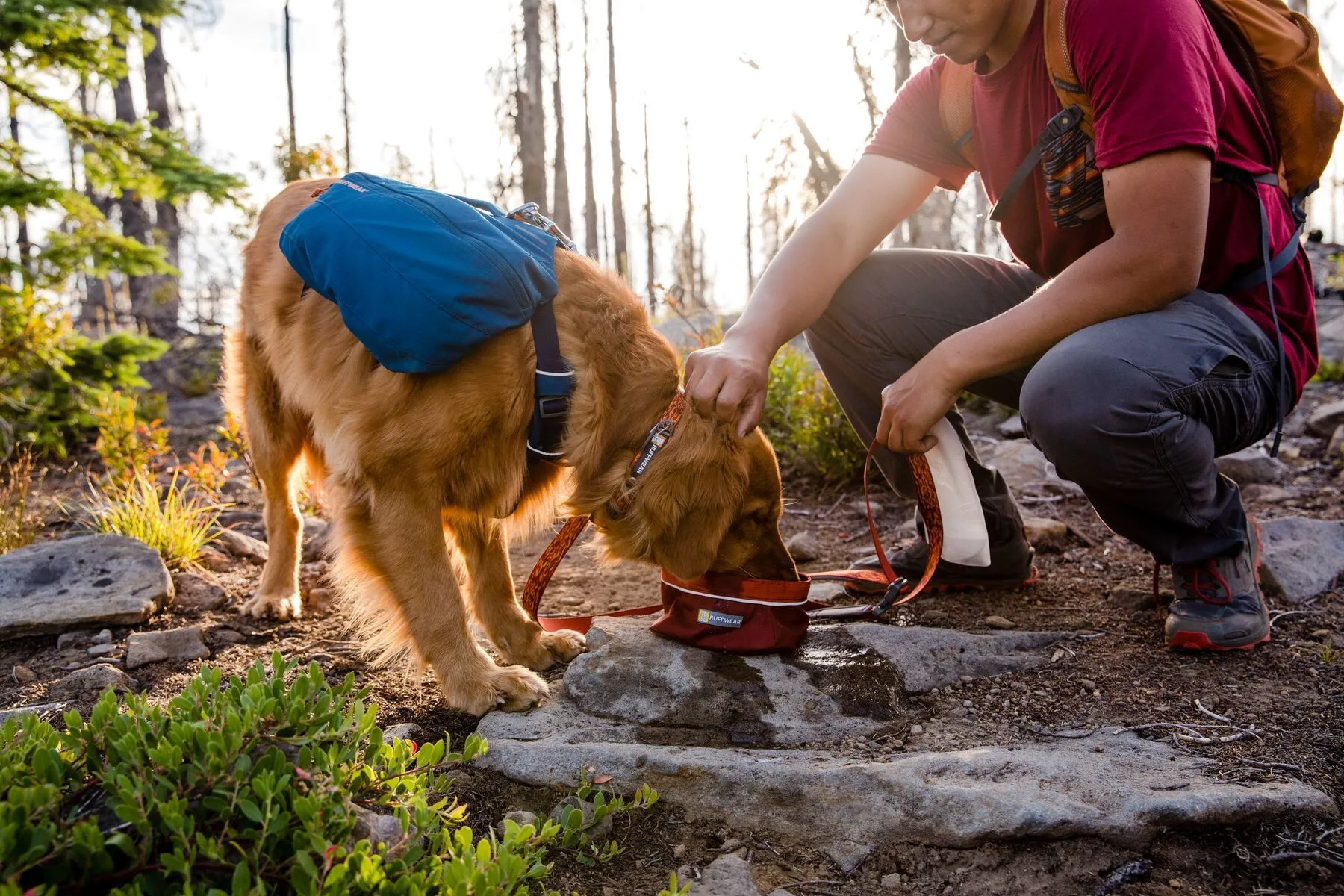 Ruffwear Flat Out™ Patterned & Multi-Use Dog Leash (Blue Horizon)