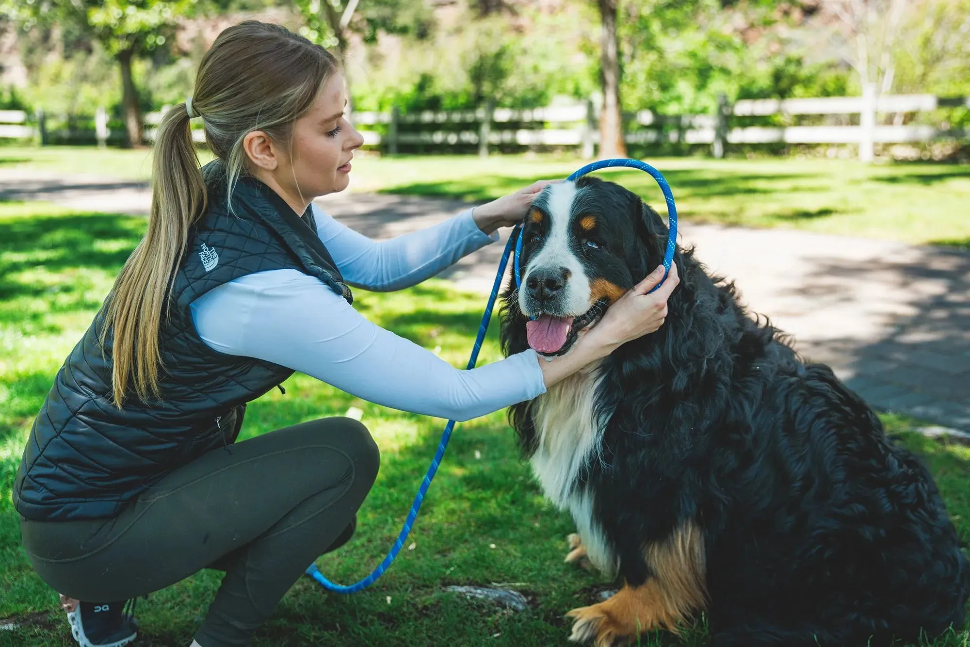 Ruffwear Just-a-Cinch™ Reflective Rope Slip Dog Leash (Blue Pool)