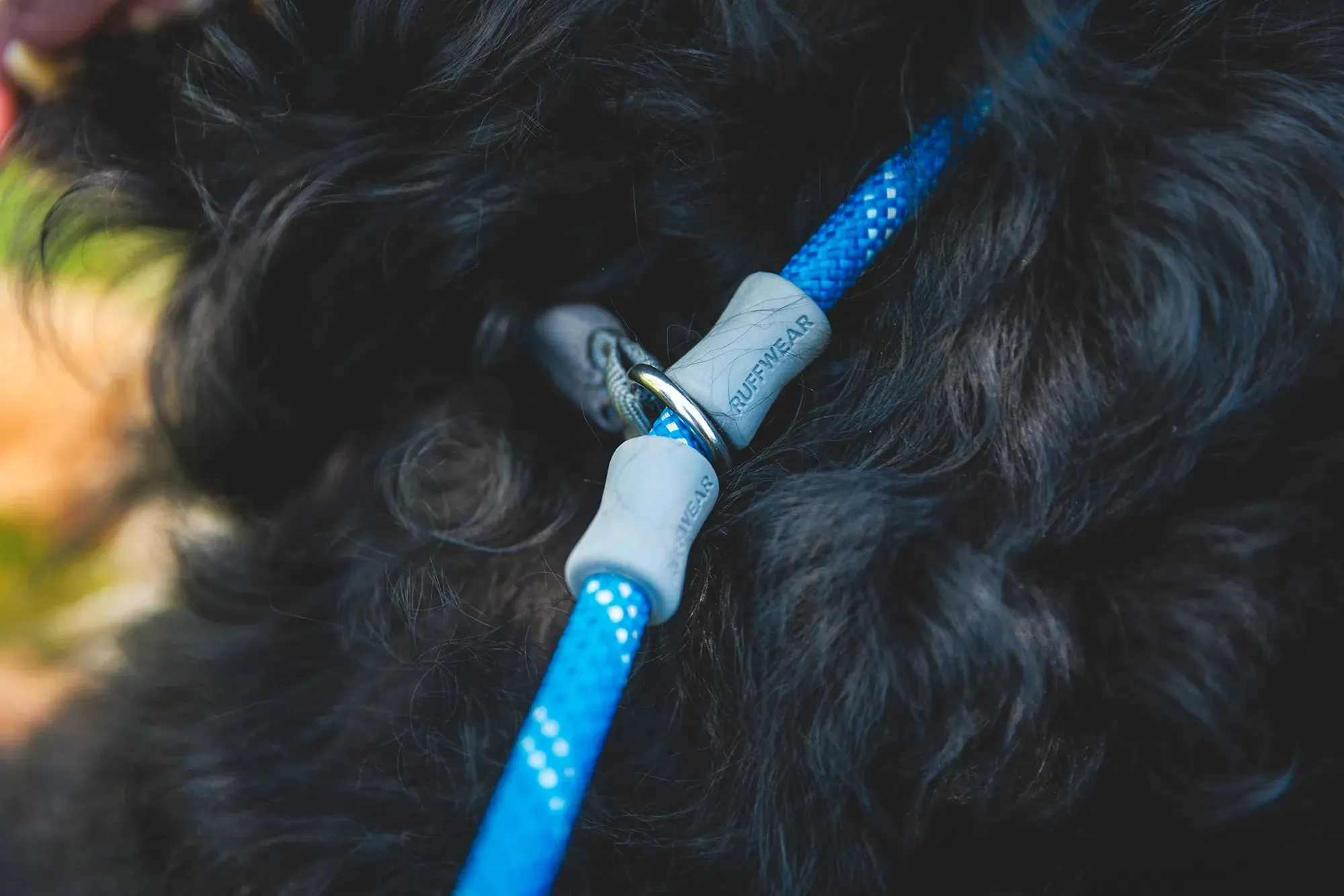 Ruffwear Just-a-Cinch™ Reflective Rope Slip Dog Leash (Blue Pool)