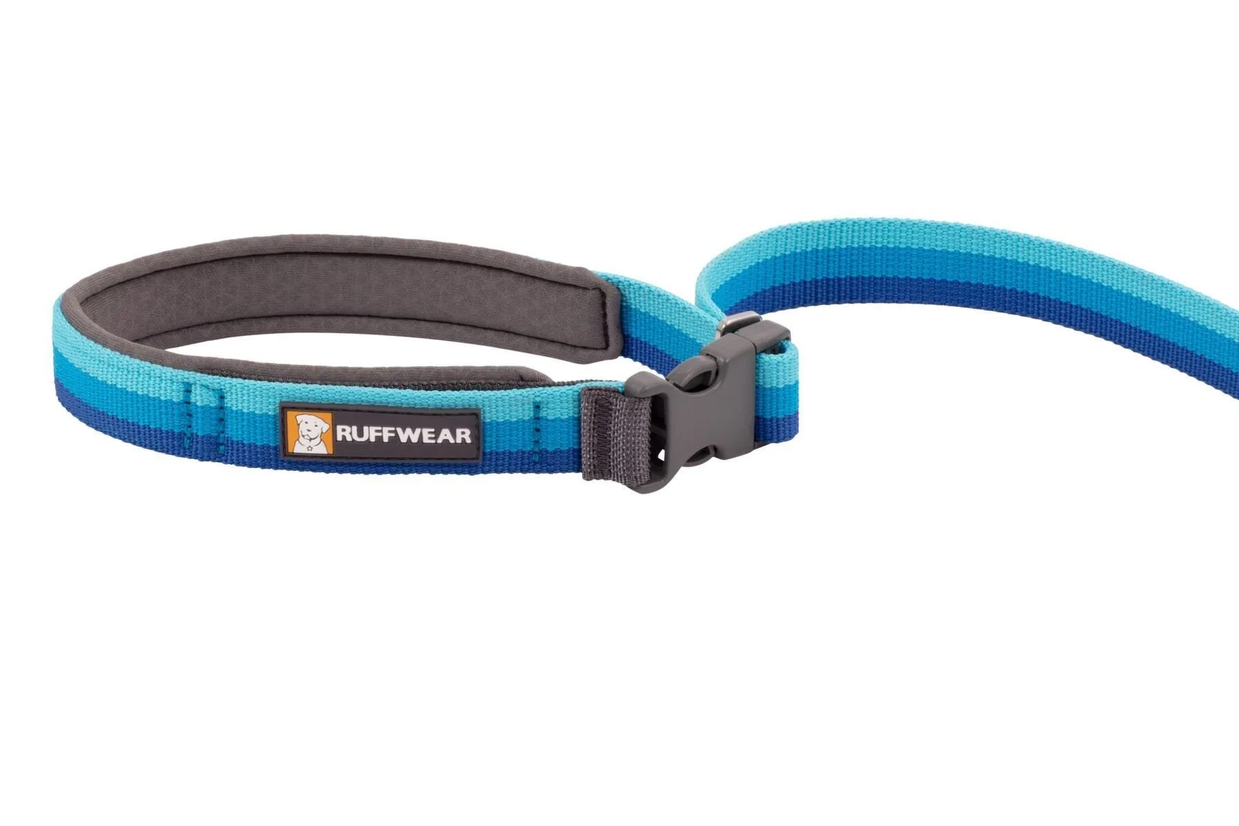 Ruffwear Roamer™ Multi-Use Bungee Dog Leash (Blue Atoll)