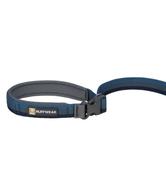 Ruffwear Roamer™ Multi-Use Bungee Dog Leash (Orion Blue)