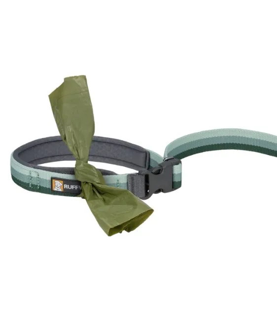 Ruffwear Roamer™ Multi-Use Bungee Dog Leash (River Rock Green)