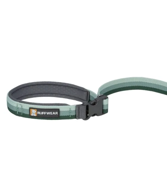 Ruffwear Roamer™ Multi-Use Bungee Dog Leash (River Rock Green)