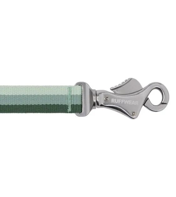 Ruffwear Roamer™ Multi-Use Bungee Dog Leash (River Rock Green)