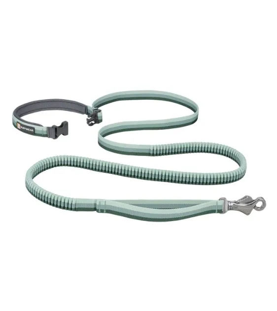 Ruffwear Roamer™ Multi-Use Bungee Dog Leash (River Rock Green)