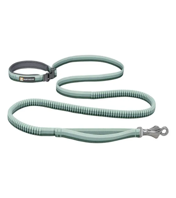 Ruffwear Roamer™ Multi-Use Bungee Dog Leash (River Rock Green)