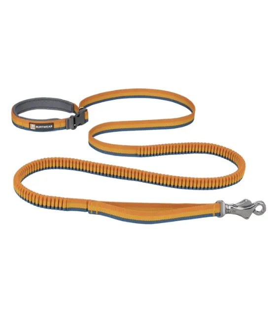 Ruffwear Roamer™ Multi-Use Bungee Dog Leash (Yellow Snow)