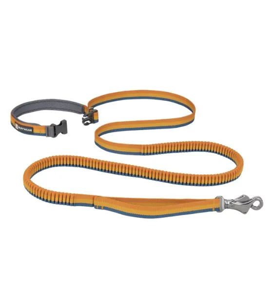 Ruffwear Roamer™ Multi-Use Bungee Dog Leash (Yellow Snow)