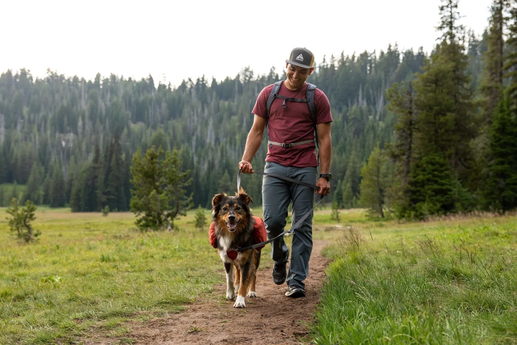 Ruffwear Switchbak™ Lightweight Multi-Use Dog Leash (Granite Gray)